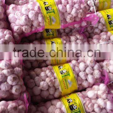 Jinxiang Normal White Fresh Garlic With Best Quality photo-2