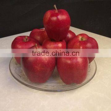 2016 New Crop New Season Huaniu Apple Fresh Apple China Gansu Tianshui Apple photo-3