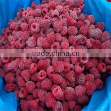 IQF Red Raspberry