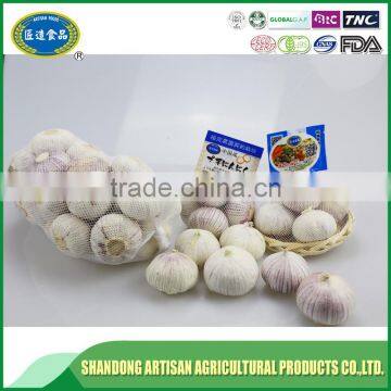 Best Price of Single Clove Garlic for Wholesale photo-5