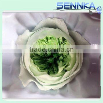 Natural Preserved English Rose Heads in White Green 8 per Box photo-4