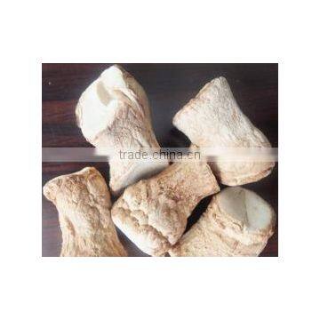 Henan Shiitake Mushroom, Mushroom Spawn,oyster Mushroom Spawn