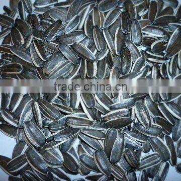 Chinese raw sunflower seeds with plumpness