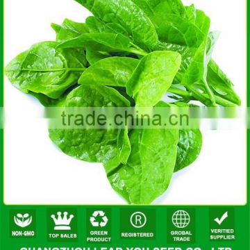 NMS01 Tuifu Buy green vegetable seeds,malabar spinach seeds