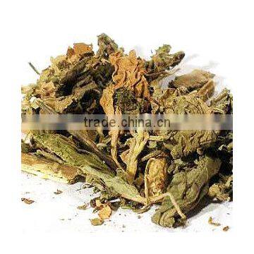 Medical Uses of Patchouli Essential Oil