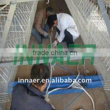 INNAER supply poultry manure scraper machine for poultry chicken house