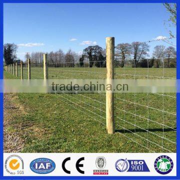 Cheap Galvanized Metal Farm Sheep Fencing/Cattle Fence/Field Fencing