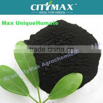 100% Natural Green Water Soluble fertilizer bulk high in potassium