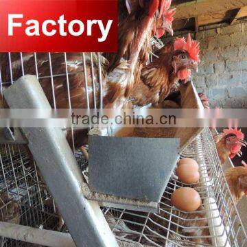 Factory since 1996 egg chicken cage for layer poultry farm for sale