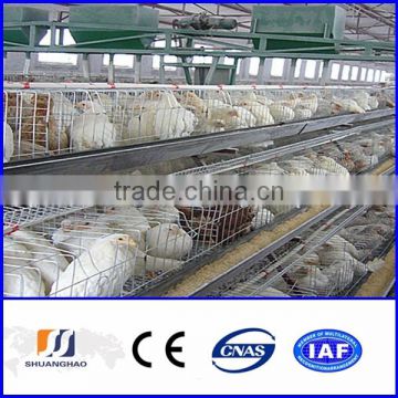 wire mesh cage chicken layer for kenya farms