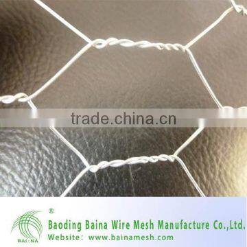 hexaagonal wire mesh/straight twist for hexaagonal wire mesh