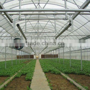 Greenhouse for Growing Vegetables