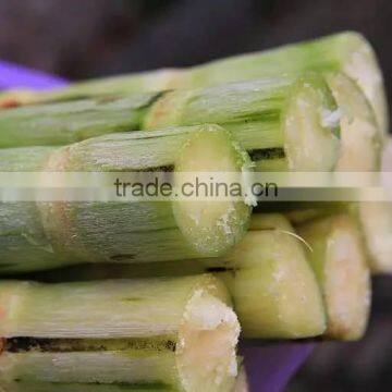Electric Sugarcane Machine Commercial Sugarcane Juicer Sugarcane Extractor photo-5