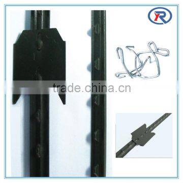 6-ft Best Price Green Metal T Post Wholesale For Sale Decorative Metal Posts photo-2