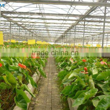 Chengdu BaoLiDa Low Price Polycarbonate Greenhouse pc Sheet Greenhouse photo-3
