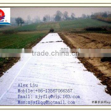 100% PP Spunbonded Non Woven Fabric Used for Agriculture Plant Cover or to Prevent the Weed and so on photo-5