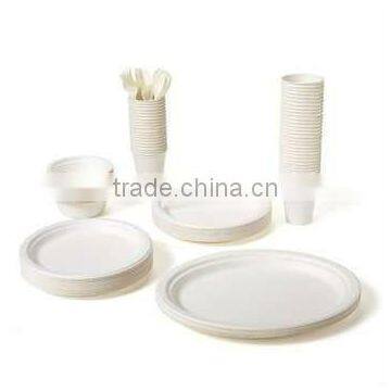 Biodegradable Dinnerware/snack Box