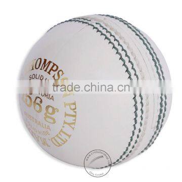 T-20 Cricket Balls