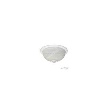 Sell Motion Sensor Ceiling Light