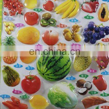 High quality custom educational fruit posters