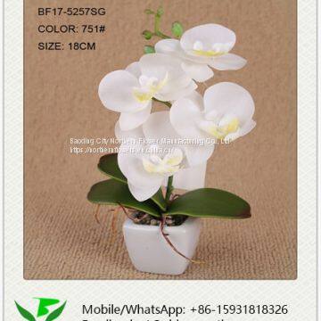 Mini Artificial Orchid for Table Decoration