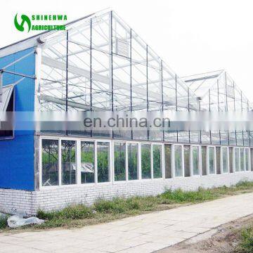2017 Hot Selling Single Span Solar Agriculture Greenhouse For Tomato In China
