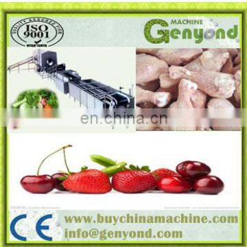 IQF Quick Freezing Sea Cucumber / Seafood Frozen Machinery / Blast Freezer Tunnel Machine photo-2