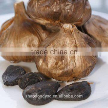 Good Vegetable Product From China Black Garlic photo-5