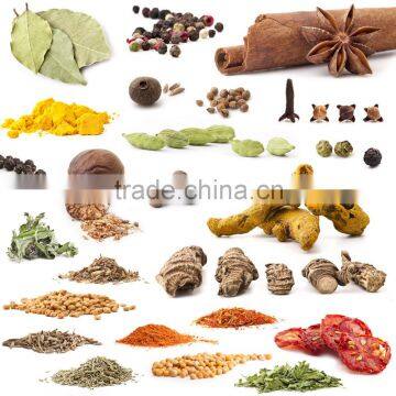 great quality white black pepper supplier from China with cheap price