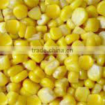 Sweet yellow corn