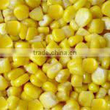 Sweet Yellow Corn