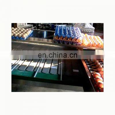 Multi-Function Egg Grading Equipment Price