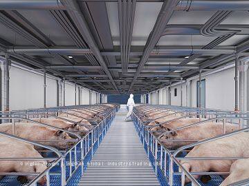 Steel Structure Cow/Sheep/Horse Shed Prefab Steel Farm Building Horse Barn Cow House Design photo-4