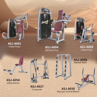 Commercial Gym Fitness Equipment Pin Loaded Selection Machine For Legs Back Chest Shoulder Arms Training