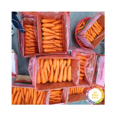 Fresh Carrot photo-2