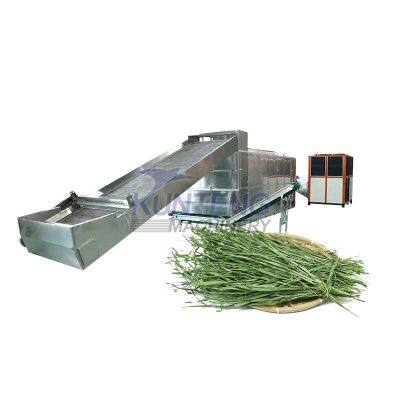 Varios secadores de cinta de malla para túneles de plantas en capas, máquinas secadoras, secador de heno de alfalfa