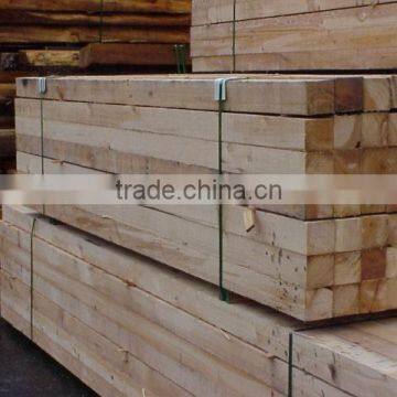 PREMIUM GREEN TIMBER