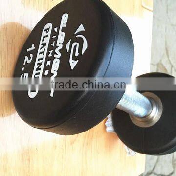 PU(cpu) Round Head/ Hex Head Dumbbell/quality Dumbbell