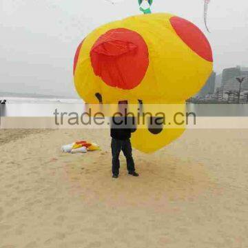 3d inflatable kite