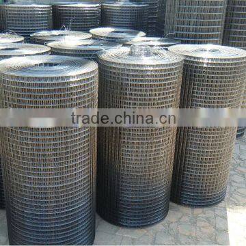 1/4 inch galvanized welded wire mesh best quality