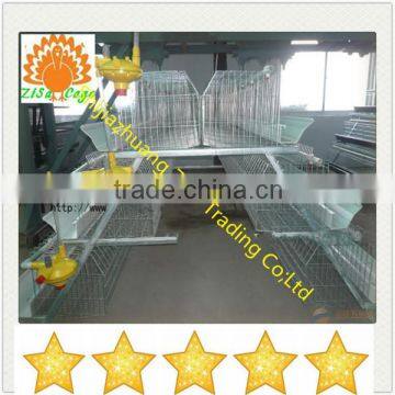 120 birds poultry cage for battery layer chicken farms