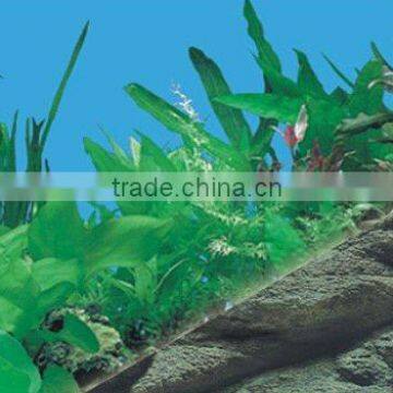waterproof plastic doublesizes aquarium background picture J03/J05