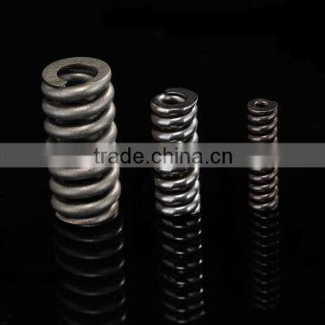 Bosch Fuel Injector Spring 2434619017