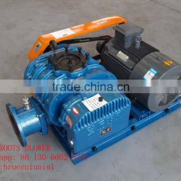 Vacuum Pump For Pneumatic Conveying