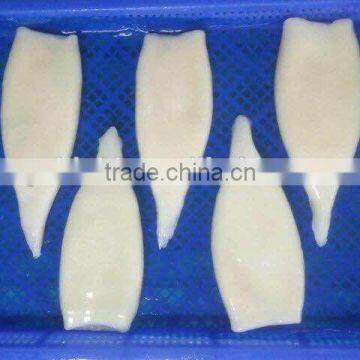 good quality size u5 u7 frozen squid tube IFQ