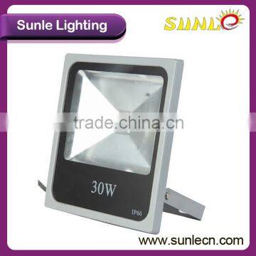 high quality cheap led floodlight 30w