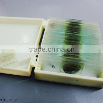 Microscope Prepared Slides ,Rock Slides, Rock Prepared Slides photo-4
