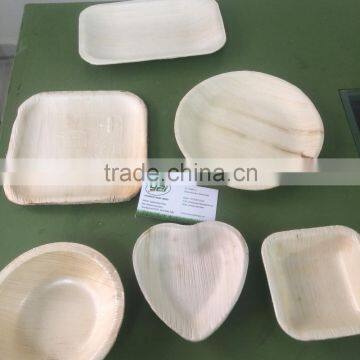 Manufacturer and Supplier of Areca Plates in UK / US / Europe photo-4