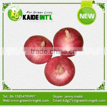 Golden Supplier Fresh Crop Onion