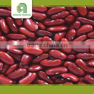 english red kidney beans from china with high quality and nice price for sale beans legumes